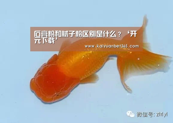 开元APP